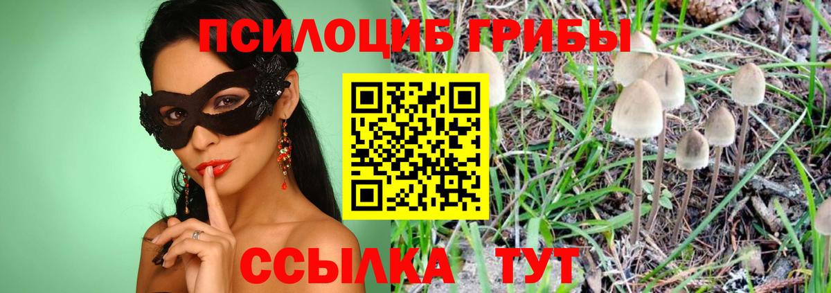 Галлюциногенные грибы ЛСД  Галлюциногенные грибы MAGIC MUSHROOMS  Сорочинск  Вход с VPN 